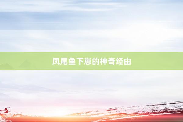 凤尾鱼下崽的神奇经由
